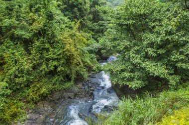 Beautiful view of forest waterfalls, located in Attappadi, Palakkad district Kerala, South India clipart