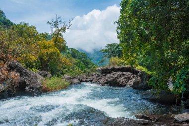 Karuvara waterfalls, located in Attappadi palakkad clipart