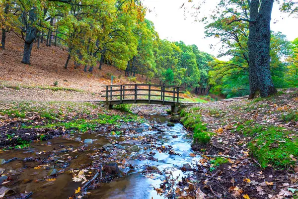 Berglandschaft Mit Herbstlichen Farben Kastanienwald Kleiner Fluss Der Unter Einer — Stockfoto