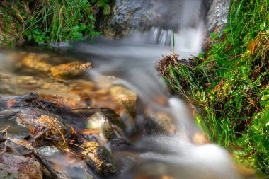 Kızgın dağ nehri. Sonbaharda dağ manzarası. Nehrin akışı taşlarla dolu. Sierra 'nın su ve bitki örtüsü. Sierra de Madrid Nehri.