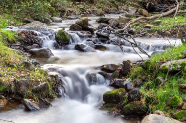 Kızgın dağ nehri. Sonbaharda dağ manzarası. Nehrin akışı taşlarla dolu. Sierra 'nın su ve bitki örtüsü. Sierra de Madrid Nehri.
