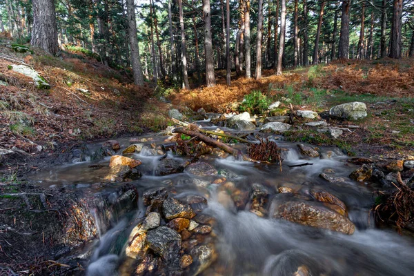 Raging Mountain River Mountain Landscape Autumn Course River Stones Water — Stock Photo, Image