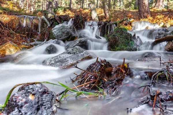 Wütender Gebirgsfluss Berglandschaft Herbst Flusslauf Mit Steinen Wasser Und Vegetation — Stockfoto