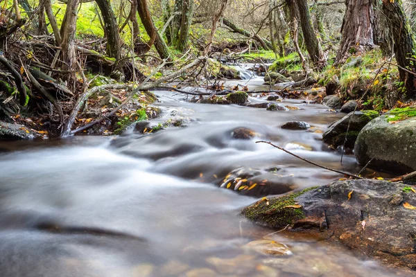 Wütender Gebirgsfluss Berglandschaft Herbst Flusslauf Mit Steinen Wasser Und Vegetation — Stockfoto