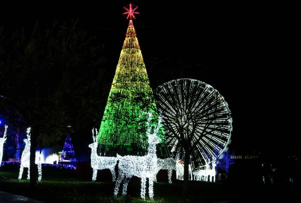 Weihnachtsdeko Set Bestehend Aus Weihnachtsbaum Wasser Mit Lichtern Und Riesenrad — Stockfoto