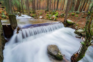 Wild mountain river. Mountain landscape. Autumn colors in the mountains of Madrid. Whitewater waterfalls in the high mountains.