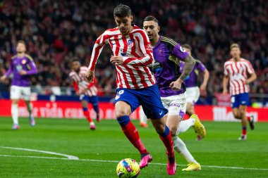 Madrid, Spain- January 21, 2023: Soccer match between Atletico de Madrid and Real Valladolid at Civitas Metropolitano. Alvaro Morata fights for a ball.