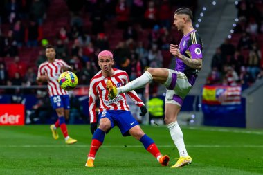 Madrid, Spain- January 21, 2023: Soccer match between Atletico de Madrid and Real Valladolid at Civitas Metropolitano. Antoine Griezman fights for the ball.