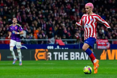 Madrid, Spain- January 21, 2023: Soccer match between Atletico de Madrid and Real Valladolid at Civitas Metropolitano. Antoine Griezman fights for the ball.