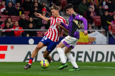 Madrid, Spain- January 21, 2023: Soccer match between Atletico de Madrid and Real Valladolid at Civitas Metropolitano. Marcos Llorente fights for the ball with an opponent.