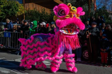 Madrid, Spain- January 21, 2023: Parade to celebrate the Chinese New Year through the streets of Madrid. Chinese citizens celebrate the year of the rabbit with typical costumes and oriental dances.