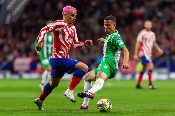 Madrid, İspanya - 2 Nisan 2023: Atletico de Madrid ve Betis F.C. Antoine Griezman topu aldı. Futbolcu. Lig maçı.