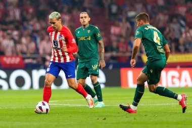 Madrid, İspanya - 1 Ekim 2023: Atletico de Madrid ile Cadiz arasındaki futbol ligi maçı Madrid 'de oynandı. Atletico de Madrid oyuncuları. Antoine Griezmann topu aldı..