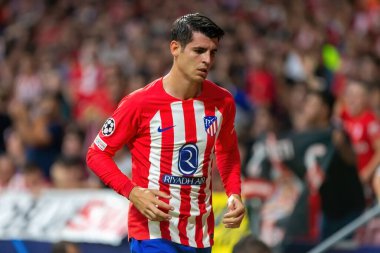 Madrid, İspanya - 4 Ekim 2023: Atletico de Madrid ile Feyenoord arasında oynanan Şampiyonlar Ligi maçı. Oyuncular gol kutluyor. Maç sırasında Alvaro Morata.