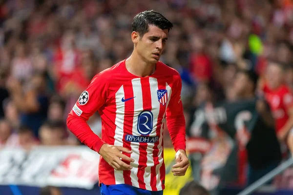 stock image Madrid, Spain- October 4, 2023: Champions League match between Atletico de Madrid and Feyenoord played in Madrid. Players celebrating a goal. Alvaro Morata during the match.