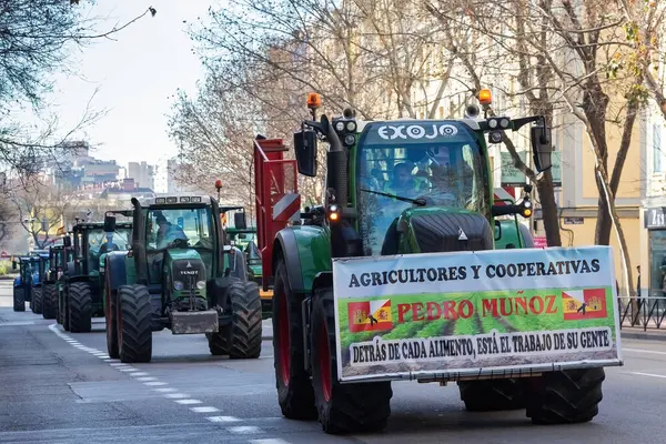 Madrid, İspanya... 21 Şubat 2024: Madrid 'de çiftçiler grev yaptı. Traktörler haklarını savunmak için Madrid 'de kervanlarda dolaşıyorlar. Çiftçiler ve çiftçiler mezbahaya.