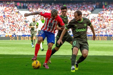 Madrid, İspanya - 13 Nisan 2024: Metropolitan 'da Atletico de Madrid ile Girona FC arasında oynanan lig maçı. Bir golü kutluyoruz profesyonel futbolcular..