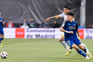 Madrid, İspanya - 15 Mayıs 2024: Madrid 'de oynanan Rayo Vallecano ve Granada FC ligi maçı. Vallecas takımı için zafer. Birinci bölümde kutlama ve kalıcılık.