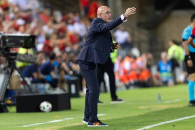 Badajoz, İspanya - 5 Haziran 2024: İspanyol futbol takımı Bajajoz 'da Andorra takımıyla dostluk maçı yapar. Tam bir futbol takımı. Euro 2024.