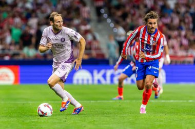 Madrid, İspanya - 25 Ağustos 2024: Atletico de Madrid ve Girona f.c. Liga 2024, 2025. Atletico de Madrid oyuncuları. Profesyonel futbol. İspanya Futbol Ligi.