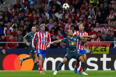 Madrid, İspanya - 19 Eylül 2024: Atletico de Madrid ile Leipzig arasında oynanan Şampiyonlar Ligi maçı. Atletico de Madrid oyuncuları. Şampiyonlar Ligi. Avrupa futbolu.