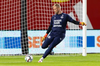 Murcia, İspanya - 12 Ekim 2024: UEFA Uluslar Ligi ön eleme maçı İspanya milli takımı ile Danimarka arasında yapıldı. Danimarka milli takımının oyuncuları. Danimarka hayranları..