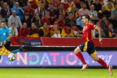 Cordoba, İspanya - 15 Ekim 2024: UEFA Uluslar Ligi ön eleme karşılaşması İspanya ile Sırbistan arasında. İspanya Milli Futbol Takımı 'nın zaferi. Milli takımın oyuncuları. Profesyonel futbol..