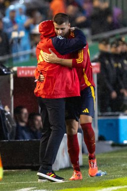 Cordoba, İspanya - 15 Ekim 2024: UEFA Uluslar Ligi ön eleme karşılaşması İspanya ile Sırbistan arasında. İspanya Milli Futbol Takımı 'nın zaferi. Milli takımın oyuncuları. Profesyonel futbol..