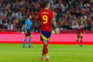 Cordoba, İspanya - 15 Ekim 2024: UEFA Uluslar Ligi ön eleme karşılaşması İspanya ile Sırbistan arasında. İspanya Milli Futbol Takımı 'nın zaferi. Milli takımın oyuncuları. Profesyonel futbol..