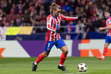 Madrid, İspanya - 11 Aralık 2024: Atletico de Madrid ile SK Slovamn Bratislava arasında oynanan Şampiyonlar Ligi maçı. Atletico de Madrid oyuncuları. Colchoneros kazandı.