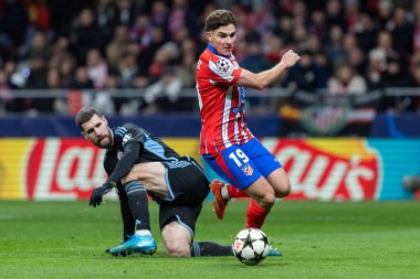 Madrid, İspanya - 11 Aralık 2024: Atletico de Madrid ile SK Slovamn Bratislava arasında oynanan Şampiyonlar Ligi maçı. Atletico de Madrid oyuncuları. Colchoneros kazandı.