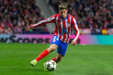 Madrid, İspanya - 11 Aralık 2024: Atletico de Madrid ile SK Slovamn Bratislava arasında oynanan Şampiyonlar Ligi maçı. Atletico de Madrid oyuncuları. Colchoneros kazandı.