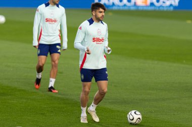 Valencia, İspanya - 23 Mart 2025: Milletler Ligi çeyrek final karşılaşması öncesinde milli takımın resmi eğitim oturumu.