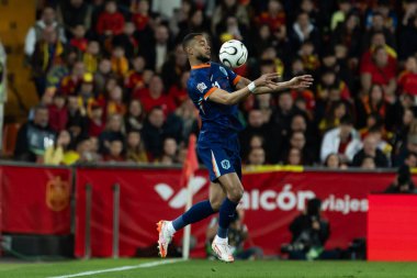 Valencia, İspanya - 23 Mart 2025: UEFA Uluslar Ligi çeyrek finalleri İspanya ile Hollanda arasında Valencia 'da oynandı. İspanyol milli takım oyuncuları. İspanya kazandı.