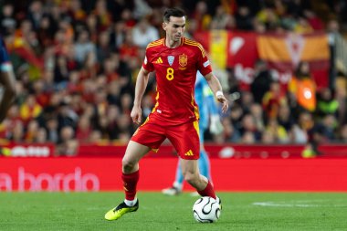 Valencia, İspanya - 23 Mart 2025: UEFA Uluslar Ligi çeyrek finalleri İspanya ile Hollanda arasında Valencia 'da oynandı. İspanyol milli takım oyuncuları. İspanya kazandı.