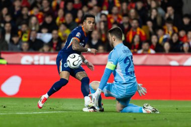 Valencia, İspanya - 23 Mart 2025: UEFA Uluslar Ligi çeyrek finalleri İspanya ile Hollanda arasında Valencia 'da oynandı. Hollanda milli takım oyuncuları. Hollanda milli takımı.