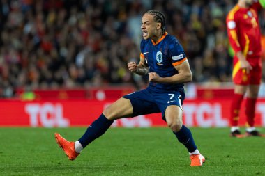 Valencia, İspanya - 23 Mart 2025: UEFA Uluslar Ligi çeyrek finalleri İspanya ile Hollanda arasında Valencia 'da oynandı. Hollanda milli takım oyuncuları. Hollanda milli takımı.