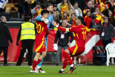 Valencia, İspanya - 23 Mart 2025: UEFA Uluslar Ligi çeyrek finalleri İspanya ile Hollanda arasında Valencia 'da oynandı. İspanyol milli takım oyuncuları. İspanya kazandı.