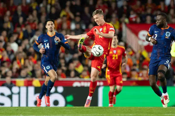 Valencia, İspanya - 23 Mart 2025: UEFA Uluslar Ligi çeyrek finalleri İspanya ile Hollanda arasında Valencia 'da oynandı. İspanyol milli takım oyuncuları. İspanya kazandı.