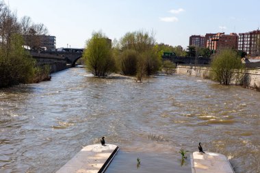 Madrid, İspanya - 28 Mart 2025: Madrid 'den akan Manzanares Nehri normalden çok daha yüksektir. Manzanares Nehri son yağmurlar sayesinde normalden daha fazla su taşıyor..
