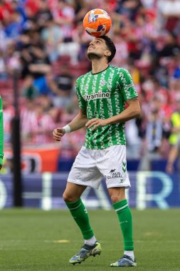 Madrid, İspanya - 18 Mayıs 2025: Atletico Madrid ile Real Betis arasındaki La Liga maçı başkentte oynandı. Gerçek Betis oyuncuları. La Liga 2024, 2025. Profesyonel oyuncular.