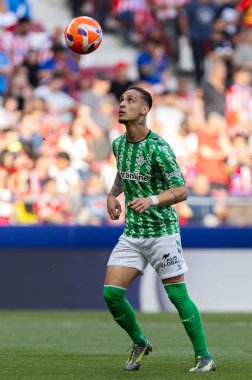 Madrid, İspanya - 18 Mayıs 2025: Atletico Madrid ile Real Betis arasındaki La Liga maçı başkentte oynandı. Gerçek Betis oyuncuları. La Liga 2024, 2025. Profesyonel oyuncular.