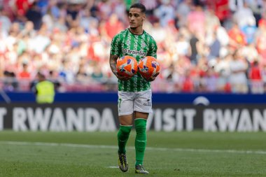 Madrid, İspanya - 18 Mayıs 2025: Atletico Madrid ile Real Betis arasındaki La Liga maçı başkentte oynandı. Gerçek Betis oyuncuları. La Liga 2024, 2025. Profesyonel oyuncular.