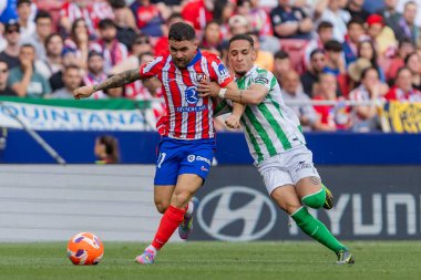 Madrid, İspanya - 18 Mayıs 2025: Atletico Madrid ile Real Betis arasındaki La Liga maçı başkentte oynandı. Gerçek Betis oyuncuları. La Liga 2024, 2025. Profesyonel oyuncular.