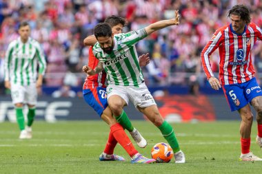 Madrid, İspanya - 18 Mayıs 2025: Atletico Madrid ile Real Betis arasındaki La Liga maçı başkentte oynandı. Gerçek Betis oyuncuları. La Liga 2024, 2025. Profesyonel oyuncular.