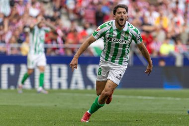 Madrid, İspanya - 18 Mayıs 2025: Atletico Madrid ile Real Betis arasındaki La Liga maçı başkentte oynandı. Gerçek Betis oyuncuları. La Liga 2024, 2025. Profesyonel oyuncular.