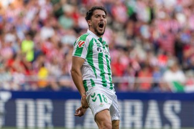 Madrid, İspanya - 18 Mayıs 2025: Atletico Madrid ile Real Betis arasındaki La Liga maçı başkentte oynandı. Gerçek Betis oyuncuları. La Liga 2024, 2025. Profesyonel oyuncular.