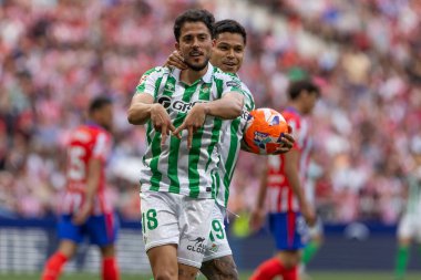 Madrid, İspanya - 18 Mayıs 2025: Atletico Madrid ile Real Betis arasındaki La Liga maçı başkentte oynandı. Gerçek Betis oyuncuları. La Liga 2024, 2025. Profesyonel oyuncular.