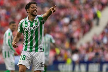 Madrid, İspanya - 18 Mayıs 2025: Atletico Madrid ile Real Betis arasındaki La Liga maçı başkentte oynandı. Gerçek Betis oyuncuları. La Liga 2024, 2025. Profesyonel oyuncular.
