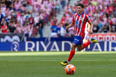 Madrid, İspanya - 18 Mayıs 2025: Atletico Madrid ile Real Betis arasındaki La Liga maçı başkentte oynandı. Atletico Madrid oyuncuları. La Liga 2024, 2025. Profesyonel oyuncular.